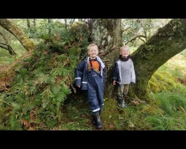 Survival Camping in Primitive Shelters & Coastal Foraging (Scottish Highlands)