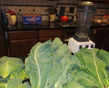 Easy Trick to Double Food Production from Your Garden