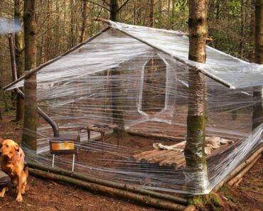Building a Woodland Cabin with Plastic Wrap | Wood Stove | Survival Project | Bushcraft Shelter