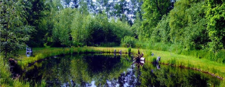 HOW TO BUILD ALL NATURAL POND WITHOUT LINER |LOW COST+MAINTENANCE |BIG BACK YARD WATER LAKE HABITAT