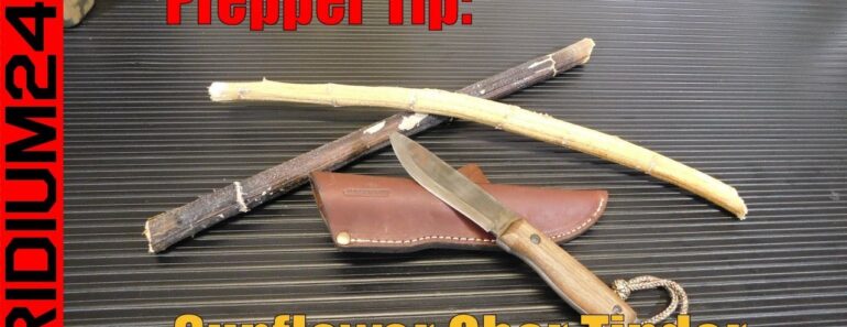 Helpful Prepper Tip: Sunflower Char Tinder! Helpful Prepper Tip: Sunflower Char Tinder!