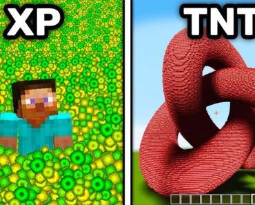 Minecraft Players Who Did The Impossible