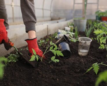 How to Get Teens Interested in Prepping and Self Sustainability