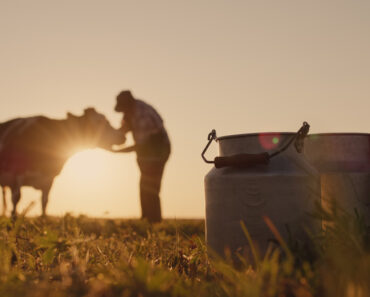 Long Live the Farmers – Survivopedia
