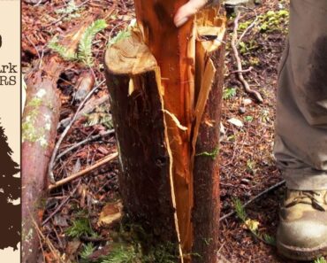 How To Baton Wood With a Survival Knife (like a BOSS)
