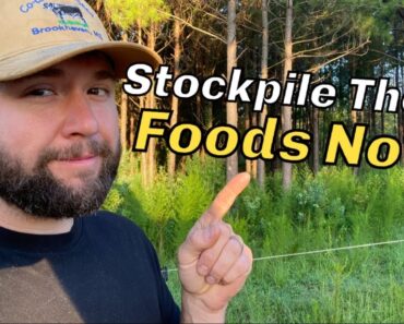 3 SUPER FOOD Items You NEED NOW | Last Forever In Your Preppers Pantry