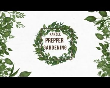 Kanzee Prepper Garden Tips and Tricks
