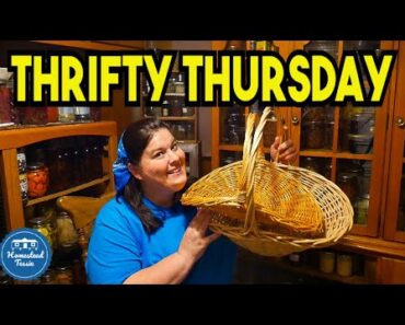 Tessie's THRIFT store Haul  & Garden For Survival  Update