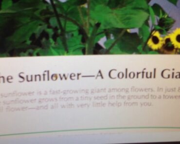 Preppers to COMMON SENSE  Person =male or female -my self 6 years in greenhouse successful gardening