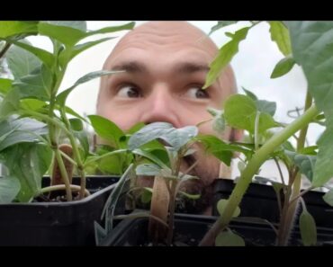 The Best Way to Start your Preppers off Right for Years!