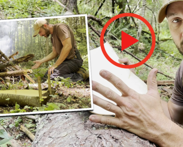 VIDEO: How to Make a Bowl From Tree Bark