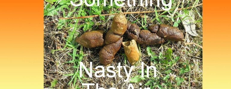 This Will Be Unlike Anything You Have Ever Seen Before – No More Privacy