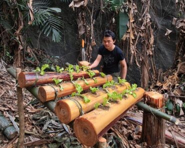 New Vegetable Garden On The Way Home, Bushcraft Survival, Survival Instinct, Primitive Skills, Ep 51