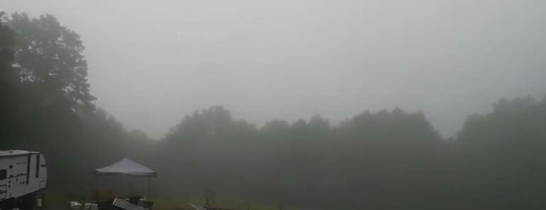 Food storage tips what you need to know.