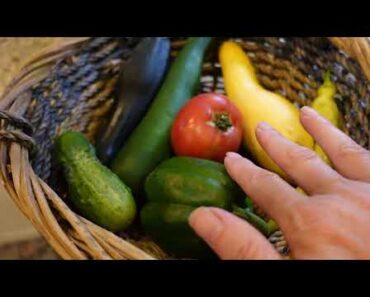 Lady Bug Release, Ant & Aphid Update, Small Garden Tour, Neem Oil, Plant Food & Praying Mantis order