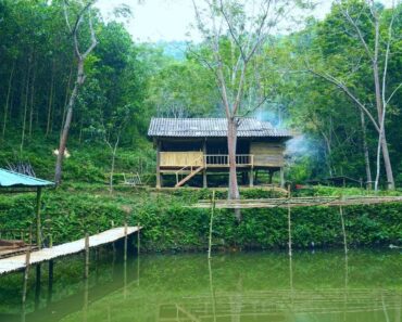 Survival instinct – Renovating wooden house walls – and feeding fish – Episode 25