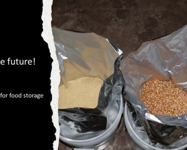 Storing Food in Mylar