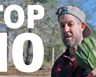Top 10 Winter Vegetables for the South
