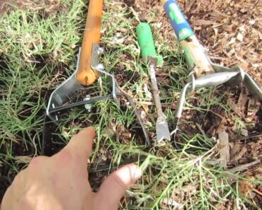 Eliminate Garden Weeds Fast: Two Way Hoe Review