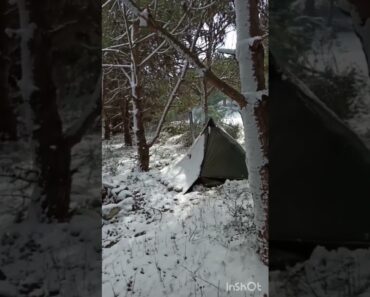 who wants to be here? #shorts #nature #camping #outdoors #survival