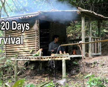 FULL VIDEO: End 120 Days Survival – Cooking And Building Shelter In The Rain Forest – Bamboo House