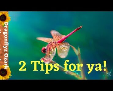 🟡 2 Prepper Tips For Ya!