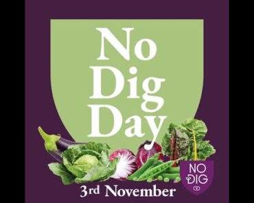 No Dig Day is 3rd November