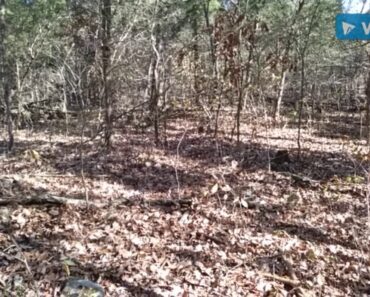 Prepper Quick Tips – Yard & Driveway Barriers During SHTF – The Art of Prepping