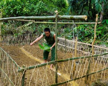 Survival Shelter,How To Make,A Vegetable Garden & Automatic Watering,Building New Life,Survival,Ep12
