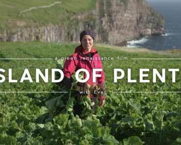 FAMILY LIVING ALONE On A Remote Island