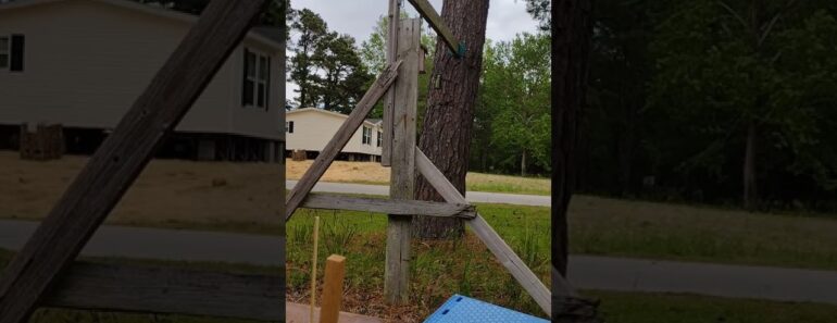 #s.h.t.f.#frugalliving #prepper #camperliving #gardening What do you think 🤔!?