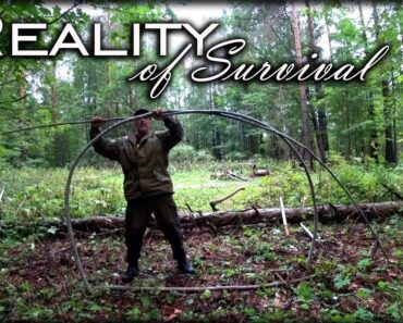 Arctic Forest Shelter V2.0 Reality Of Survival (2018)
