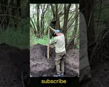 #bushcraft #camping #nature #outdoors #survival #shelter #shorts