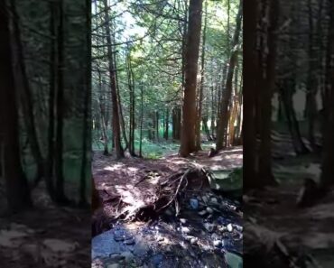 PREPPER SHTF Creek, I will try to enhance functions. I currently gather jugs of water for garden.