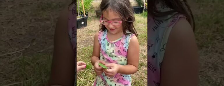 Kids Try FRESH GARDEN LETTUCE for the first time!!!