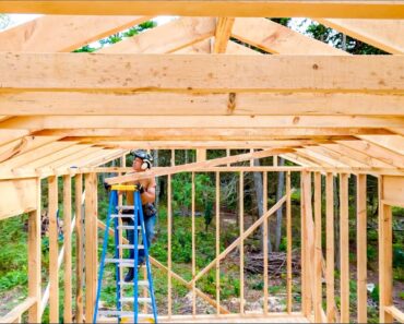 Wet Lumber Framing- Solo Winter Cabin Build.. #100