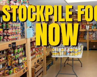 Stockpile Food Now – Food Shortages Continue to Grow – Food Will Never Be Cheaper Than Now