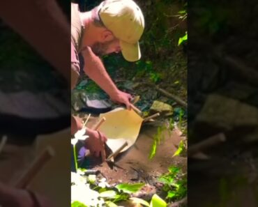 How To Build A Survival Bowl With Tree Bark