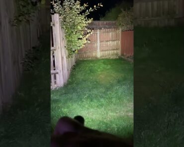 Thrunite Archer Pro | Great Every Day Carry Flashlight