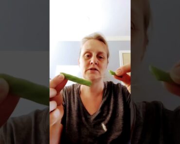 Canning green beans tips. #canning #selfsuffiency #prepper #prepare #tips #largefamily #frugal