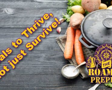 Food Series: Meals to Thrive, not just Survive