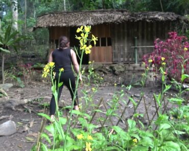 365 Days Solo Bushcraft, Survival Camping Alone, Make Bathroom Outdoor – Living Off Grid