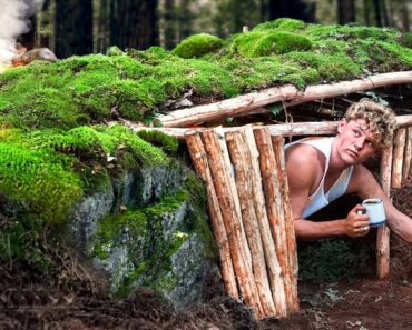 I Built a Survival Shelter