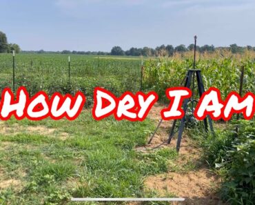 Dry Weather Garden Update