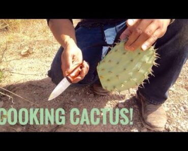 Desert Survival Food: Prickly Pear Cactus (Nopales) -Junkyard Fox