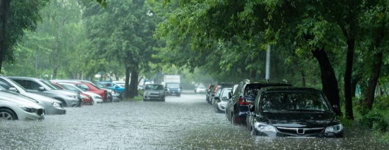 How to survive the aftermath of urban disasters