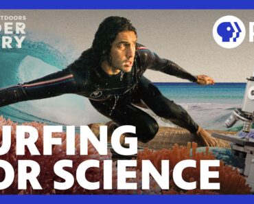 Can Surfing Survive Climate Change? (feat. Maiya May) | America Outdoors: Understory | PBS