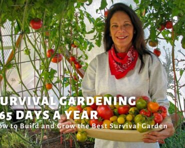 Survival Garden Guide – The best survival foods to grow in your dome greenhouse garden.