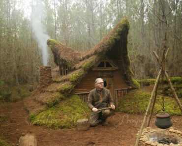 Building a Complete Survival Mini House with dead wood pin needles  rocks and clay