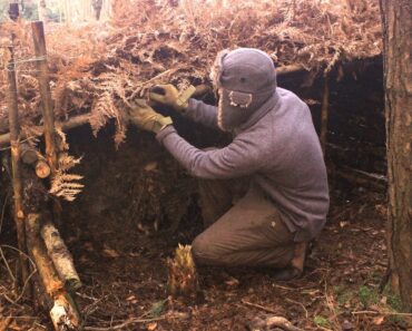 Tree Root Survival Shelter – Fast Build, Minimal Tools
